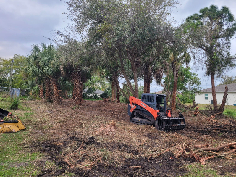Land & lot clearing 1